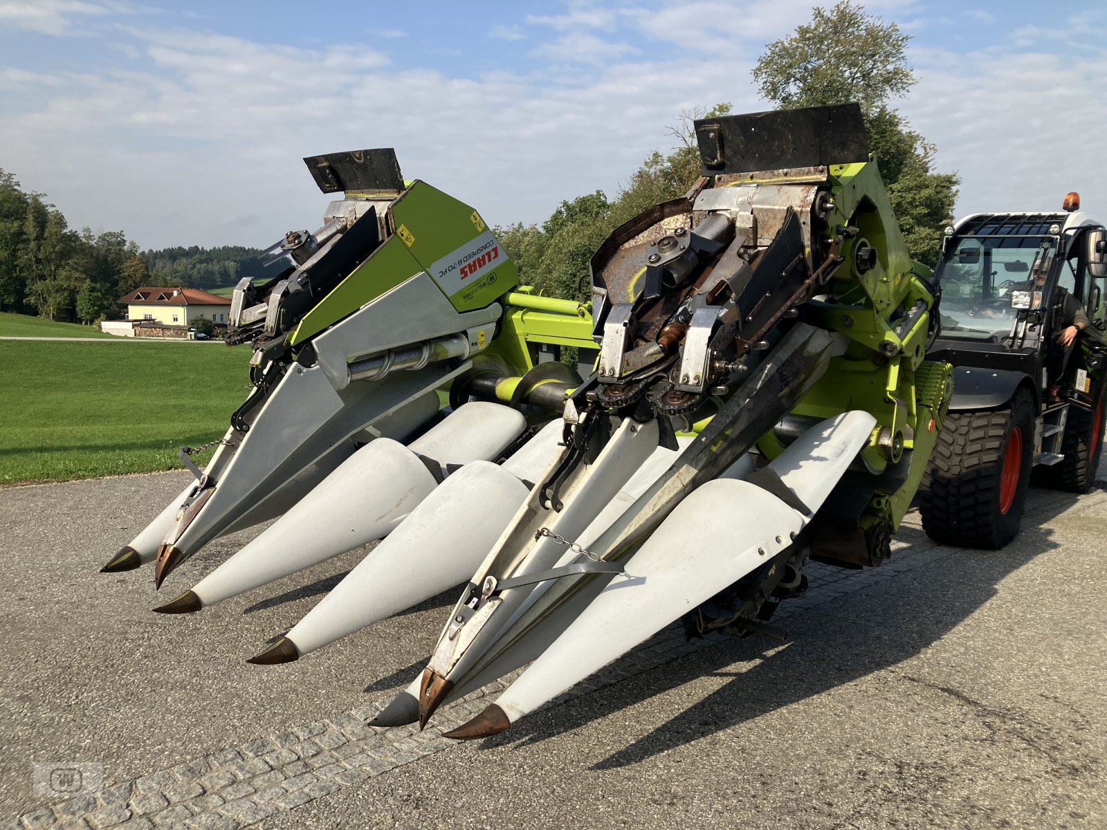 Maispflückvorsatz del tipo CLAAS Conspeed 6-70 FC, Gebrauchtmaschine In Zell an der Pram (Immagine 21)