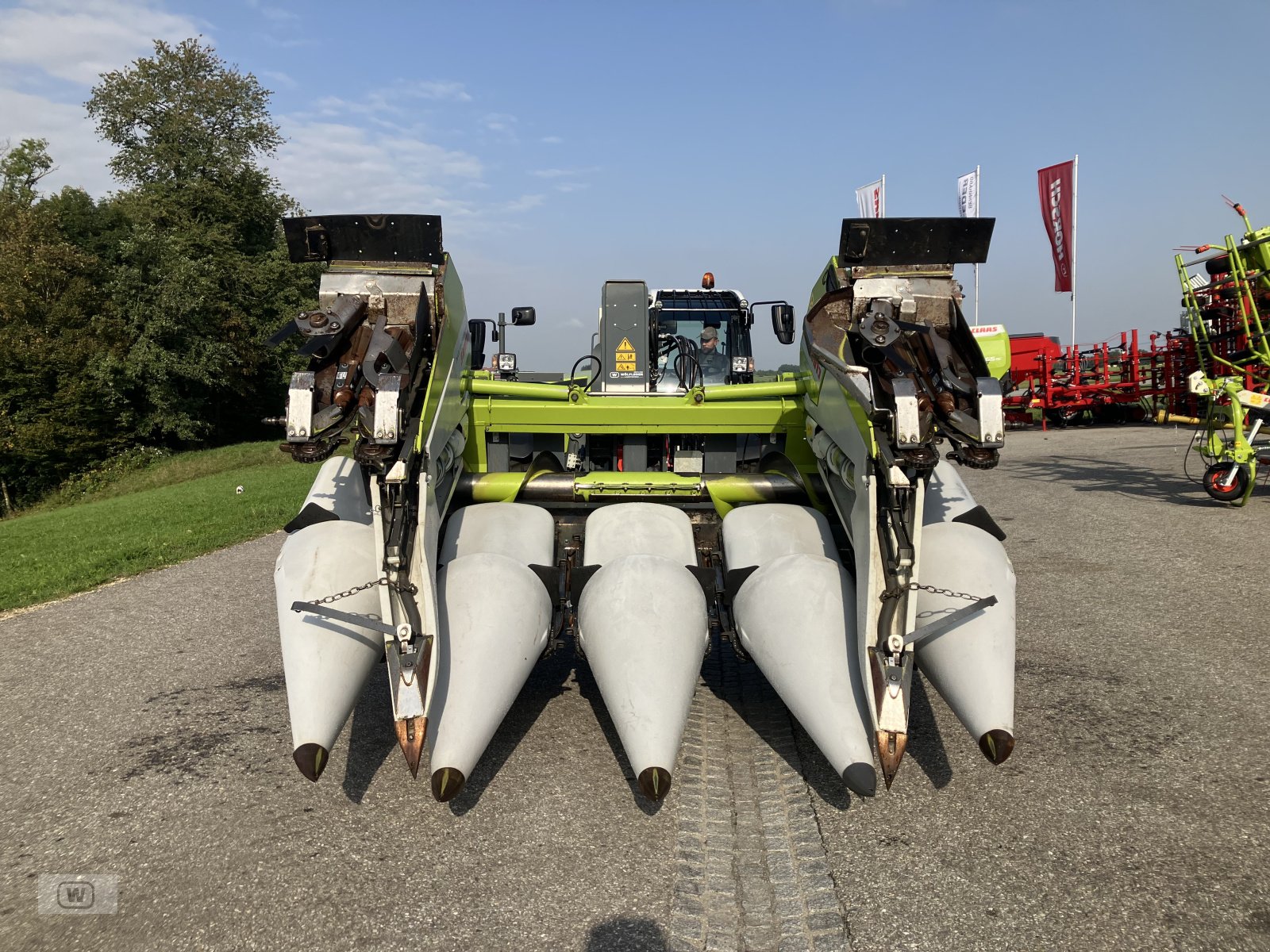 Maispflückvorsatz del tipo CLAAS Conspeed 6-70 FC, Gebrauchtmaschine In Zell an der Pram (Immagine 22)