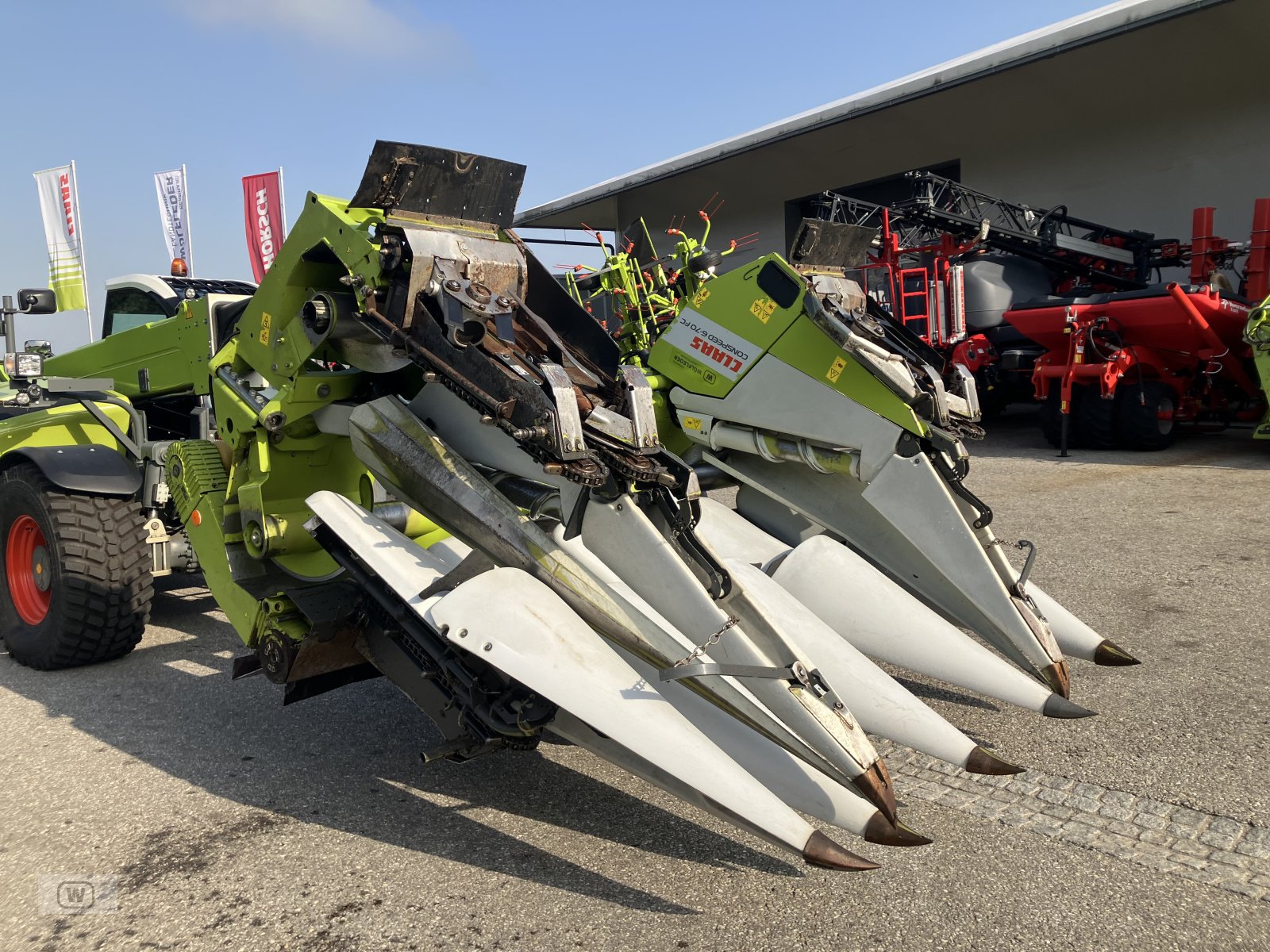 Maispflückvorsatz des Typs CLAAS Conspeed 6-70 FC, Gebrauchtmaschine in Zell an der Pram (Bild 23)