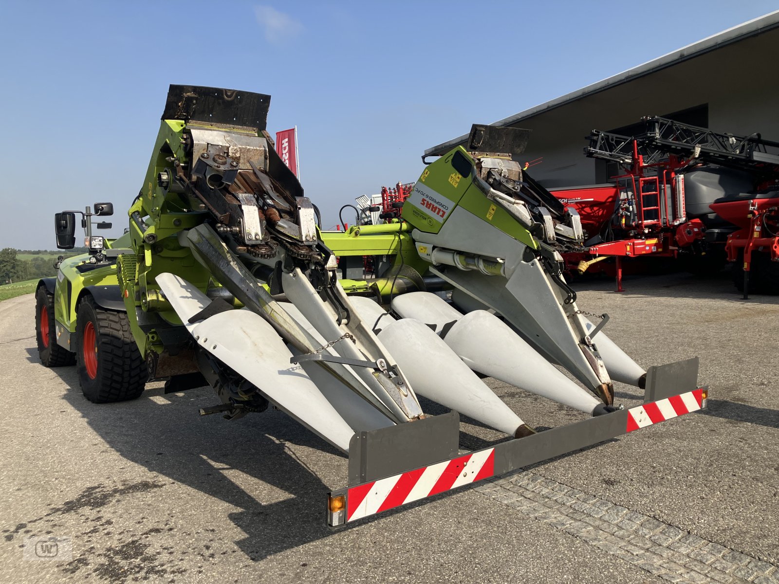 Maispflückvorsatz del tipo CLAAS Conspeed 6-70 FC, Gebrauchtmaschine In Zell an der Pram (Immagine 31)