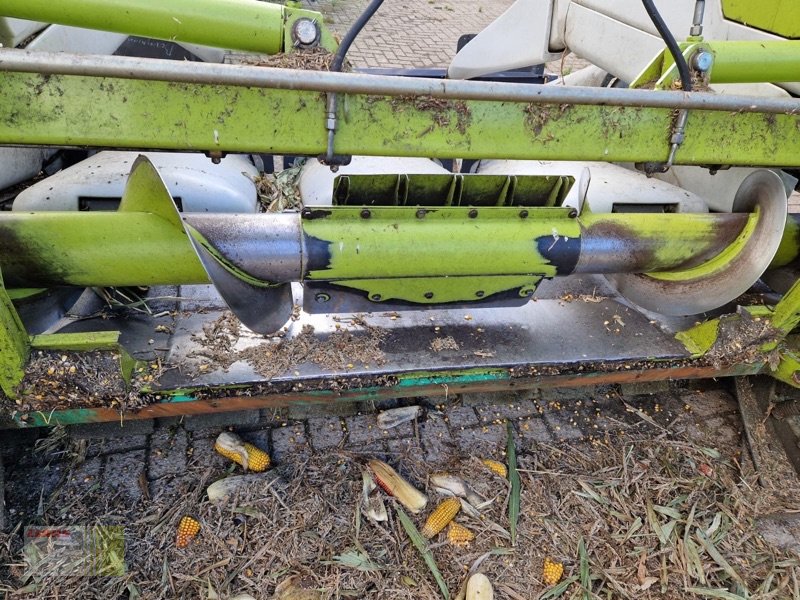 Maispflückvorsatz typu CLAAS CONSPEED 6-75 FC, LEXION, TUCANO, Gebrauchtmaschine w Molbergen (Zdjęcie 7)