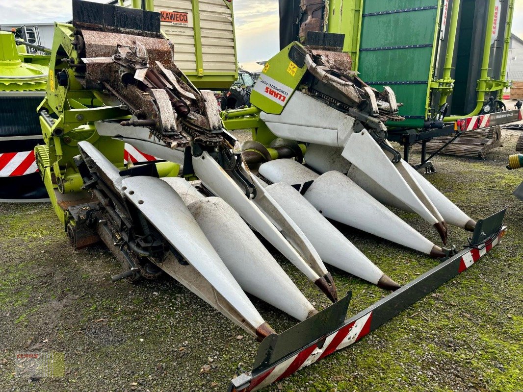 Maispflückvorsatz van het type CLAAS CONSPEED 6-75 FC, LEXION, TUCANO, Gebrauchtmaschine in Molbergen (Foto 1)