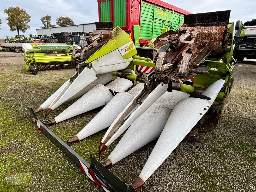 Maispflückvorsatz des Typs CLAAS CONSPEED 6-75 FC, LEXION, TUCANO, Gebrauchtmaschine in Molbergen (Bild 2)