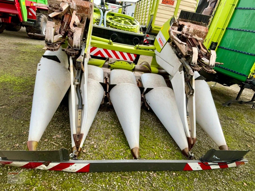 Maispflückvorsatz des Typs CLAAS CONSPEED 6-75 FC, LEXION, TUCANO, Gebrauchtmaschine in Molbergen (Bild 3)