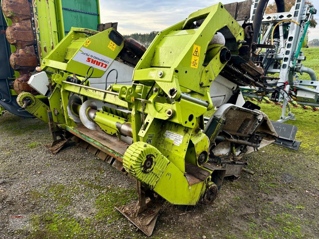 Maispflückvorsatz a típus CLAAS CONSPEED 6-75 FC, LEXION, TUCANO, Gebrauchtmaschine ekkor: Molbergen (Kép 4)