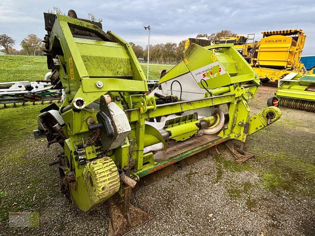 Maispflückvorsatz Türe ait CLAAS CONSPEED 6-75 FC, LEXION, TUCANO, Gebrauchtmaschine içinde Molbergen (resim 5)