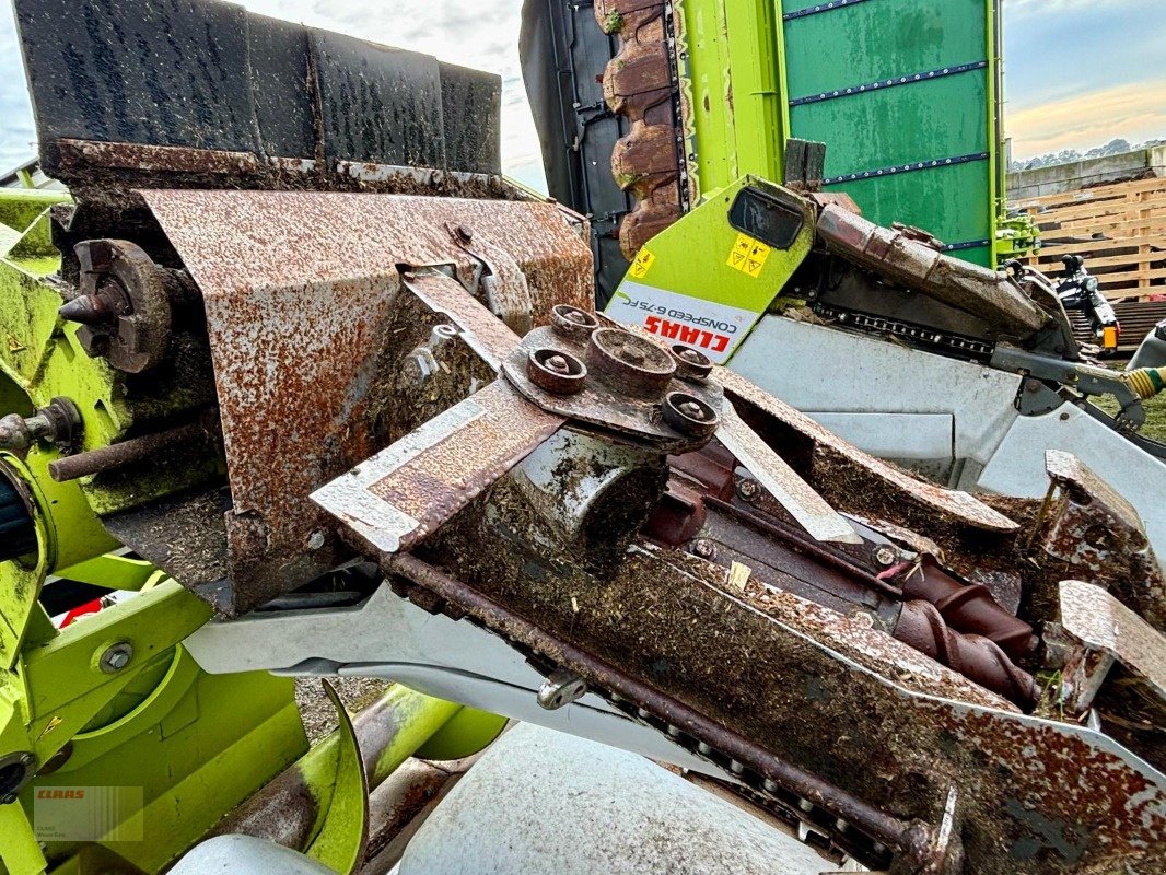 Maispflückvorsatz des Typs CLAAS CONSPEED 6-75 FC, LEXION, TUCANO, Gebrauchtmaschine in Molbergen (Bild 10)