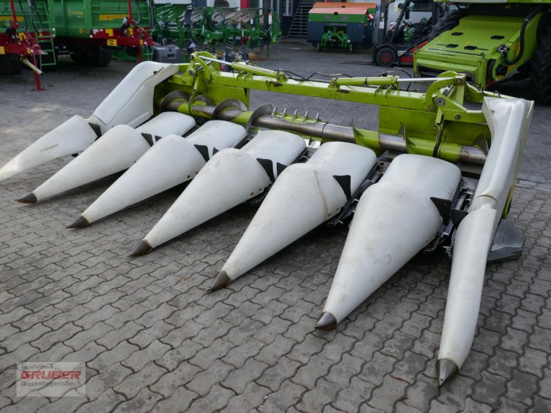 Maispflückvorsatz des Typs CLAAS Conspeed 6-75 FC, Gebrauchtmaschine in Dorfen (Bild 1)