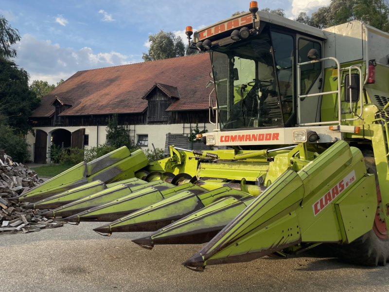 Maispflückvorsatz типа CLAAS Conspeed 6-75, Gebrauchtmaschine в Aichach (Фотография 1)