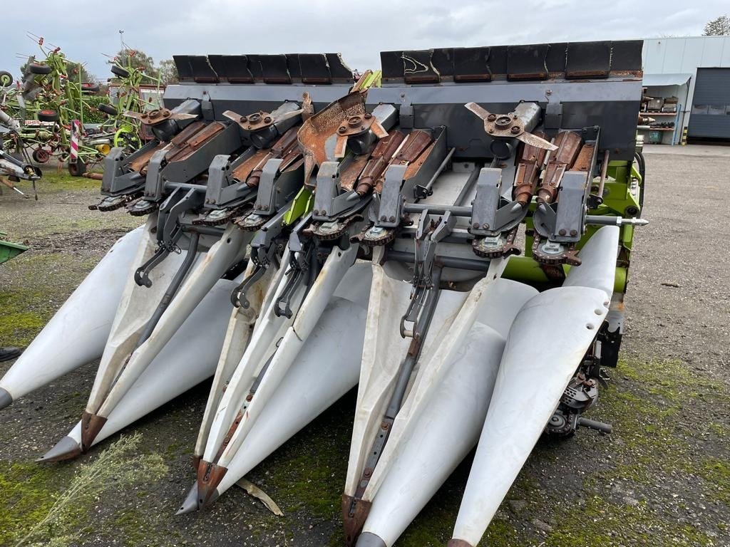 Maispflückvorsatz del tipo CLAAS Conspeed 8-75 8-reihig EZ 2016, Gebrauchtmaschine en Schutterzell (Imagen 3)