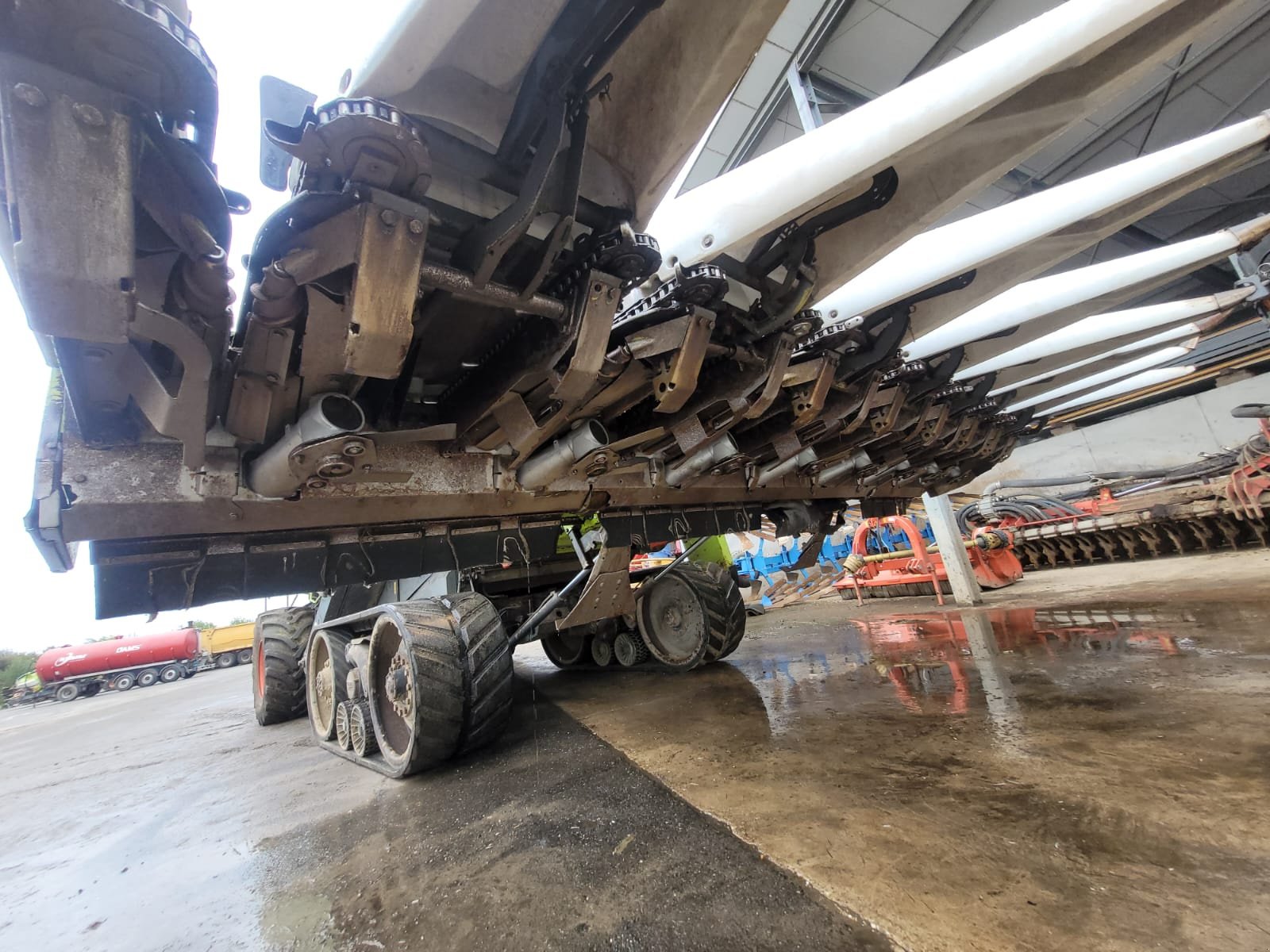 Maispflückvorsatz of the type CLAAS Conspeed 8-75 FC-HR, Gebrauchtmaschine in Oelde (Picture 12)