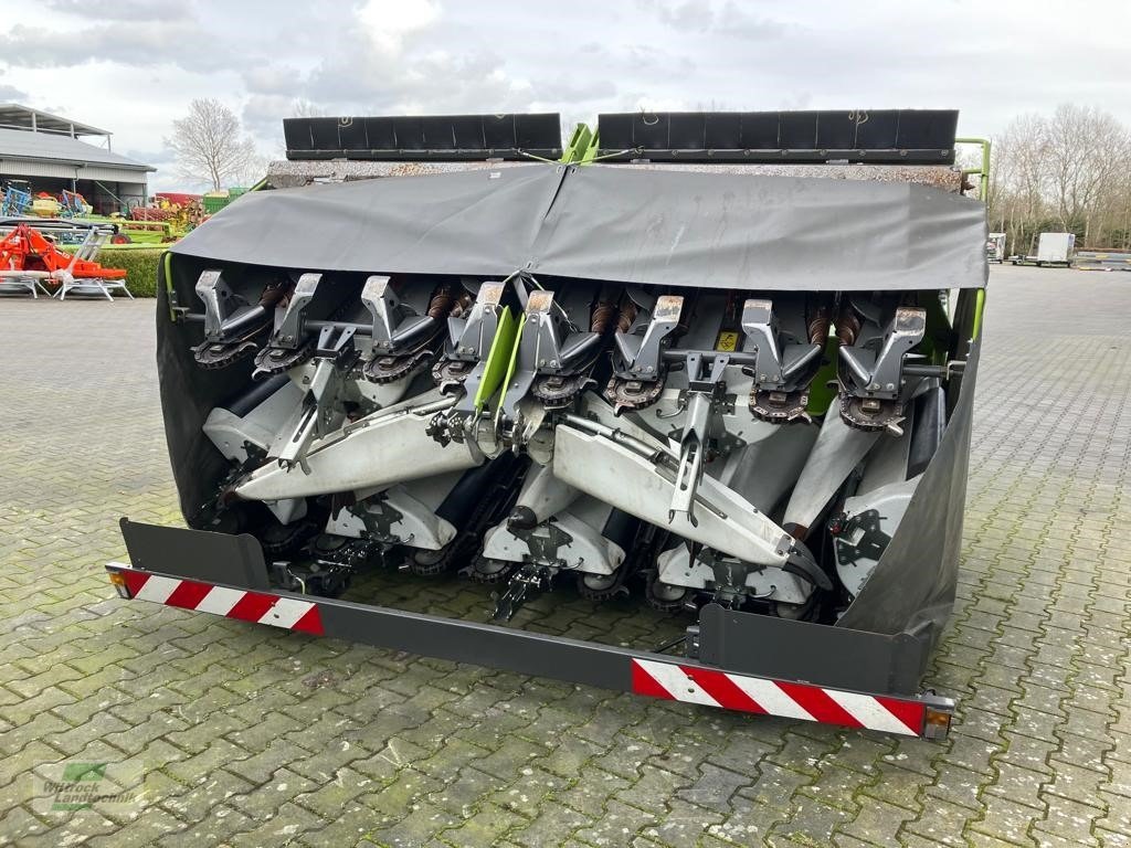 Maispflückvorsatz des Typs CLAAS Corio 8-75 FC, Gebrauchtmaschine in Rhede / Brual (Bild 5)