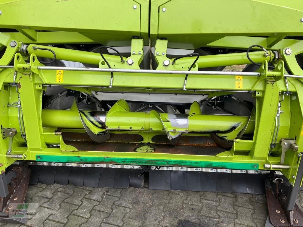 Maispflückvorsatz des Typs CLAAS Corio 8-75 FC, Gebrauchtmaschine in Rhede / Brual (Bild 4)