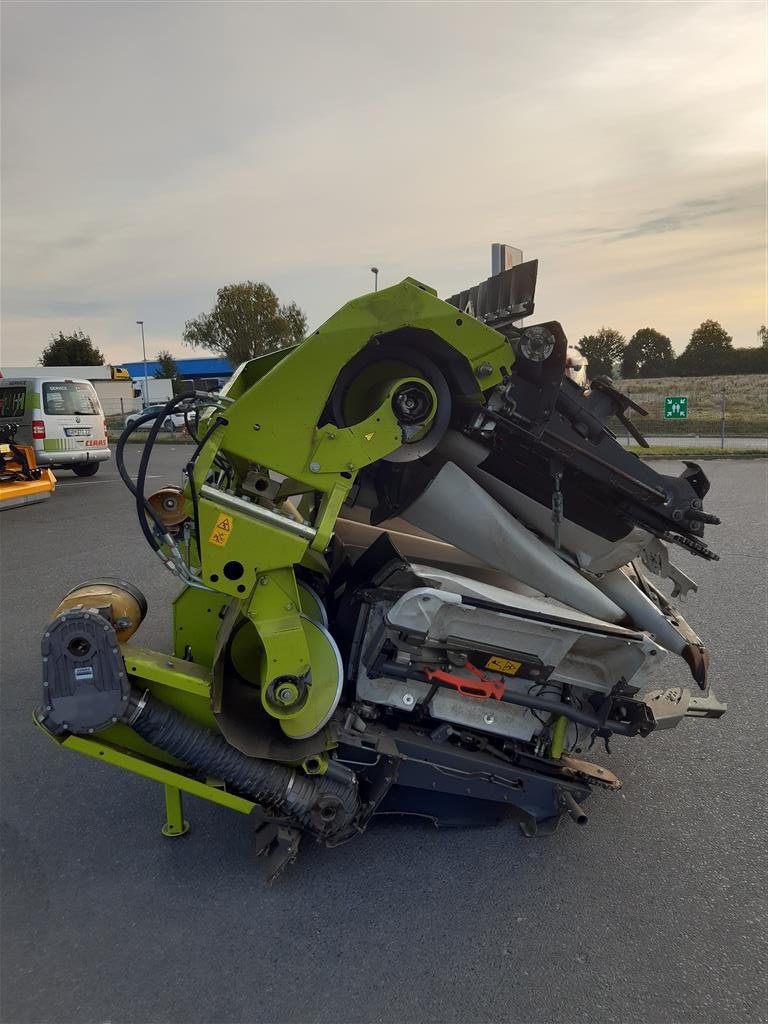 Maispflückvorsatz van het type CLAAS Corio 875 FC Conspeed, Gebrauchtmaschine in Grimma (Foto 2)