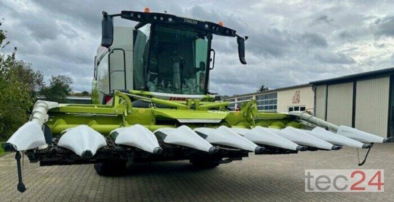 Maispflückvorsatz типа CLAAS Corio 875 FC, Gebrauchtmaschine в Östringen (Фотография 3)