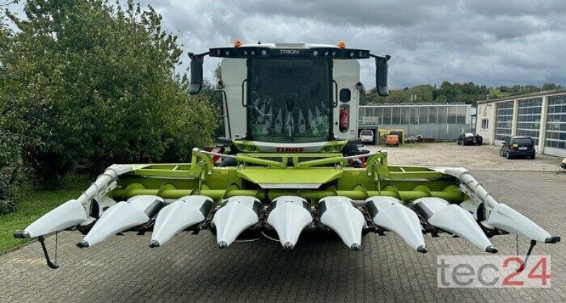 Maispflückvorsatz des Typs CLAAS Corio 875 FC, Gebrauchtmaschine in Östringen (Bild 17)