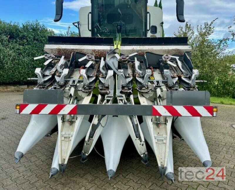 Maispflückvorsatz Türe ait CLAAS Corio 875 FC, Gebrauchtmaschine içinde Östringen (resim 11)