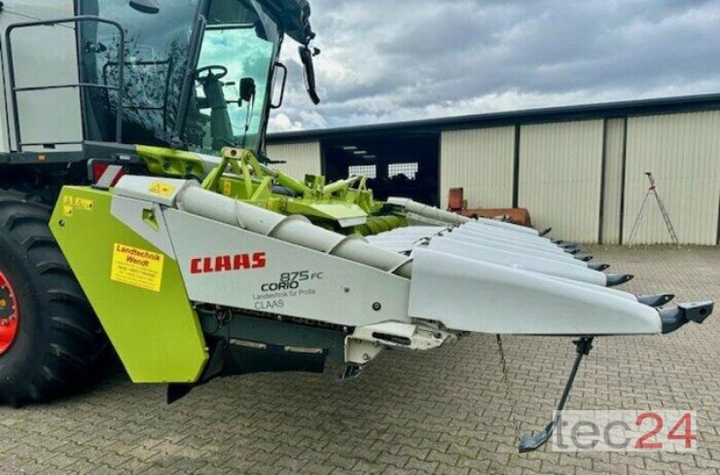 Maispflückvorsatz a típus CLAAS Corio 875 FC, Gebrauchtmaschine ekkor: Östringen (Kép 2)