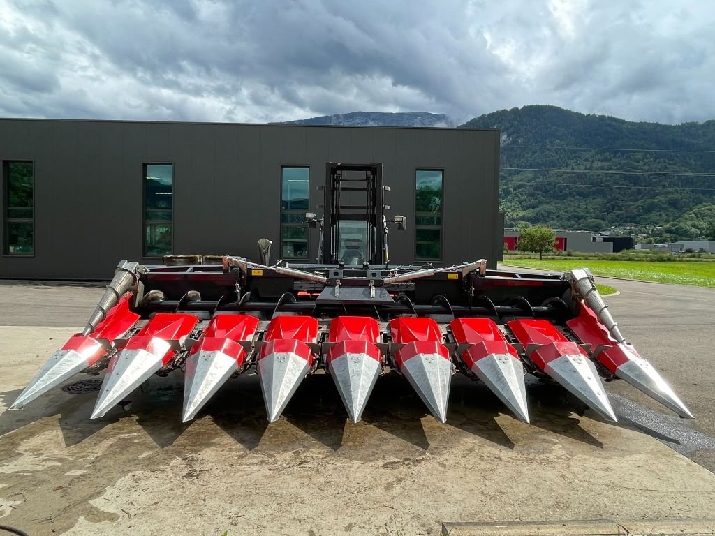 Maispflückvorsatz a típus Dominoni Rock Line, Gebrauchtmaschine ekkor: MARNAZ (Kép 1)