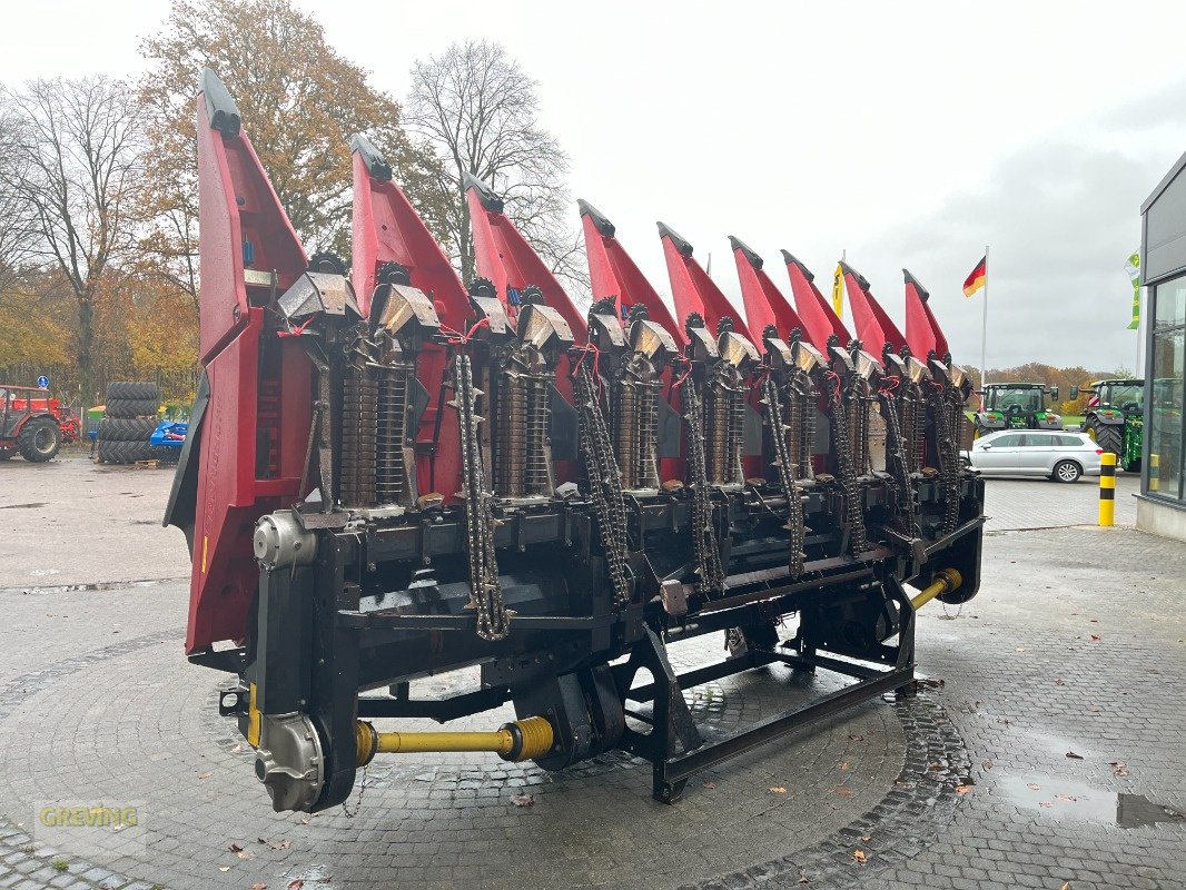 Maispflückvorsatz van het type Geringhoff ROTA-DISC 800FB, passend zum CLAAS Lexion,, Gebrauchtmaschine in Greven (Foto 5)