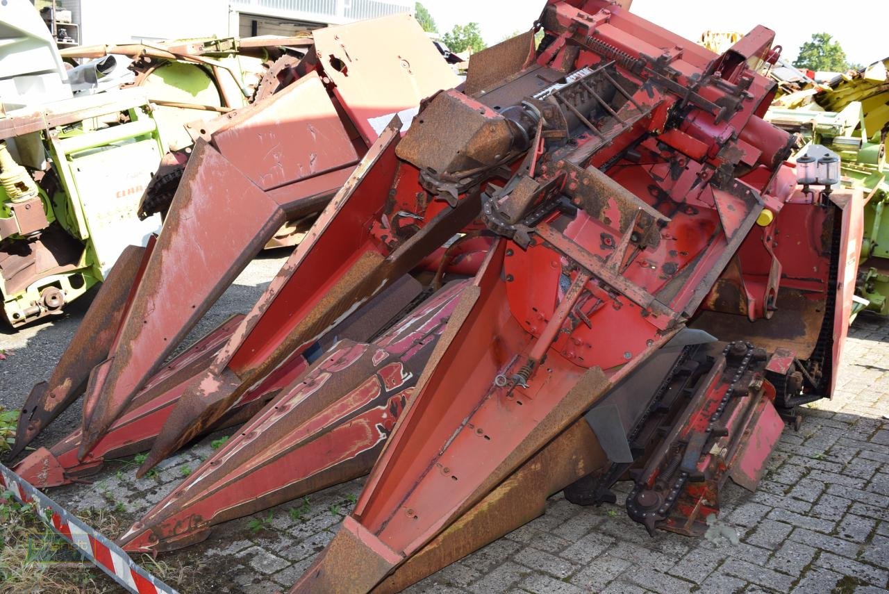 Maispflückvorsatz tipa Geringhoff Rota Disc *Maispflücker*, Gebrauchtmaschine u Oyten (Slika 2)