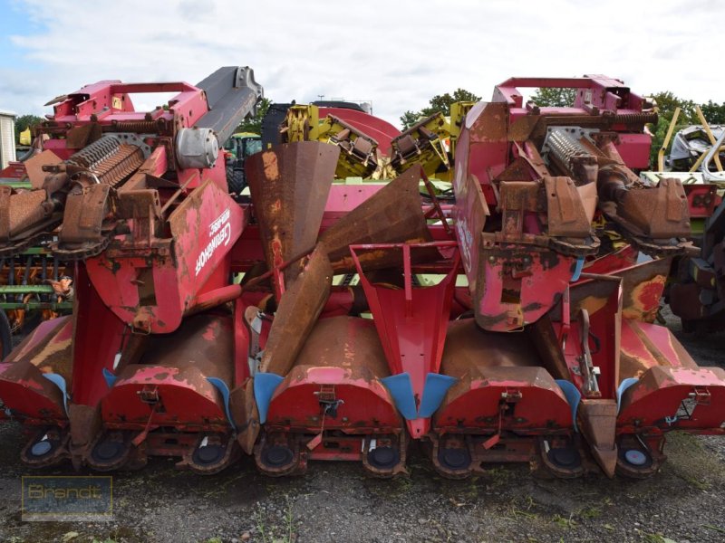 Maispflückvorsatz of the type Geringhoff Rota Disc *Maispflücker*, Gebrauchtmaschine in Oyten (Picture 1)