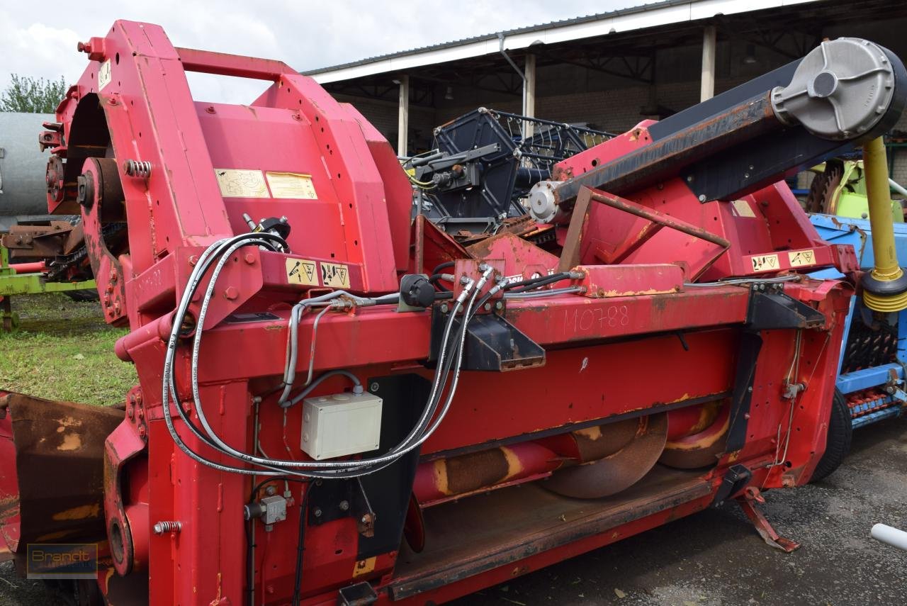 Maispflückvorsatz van het type Geringhoff Rota Disc *Maispflücker*, Gebrauchtmaschine in Oyten (Foto 2)