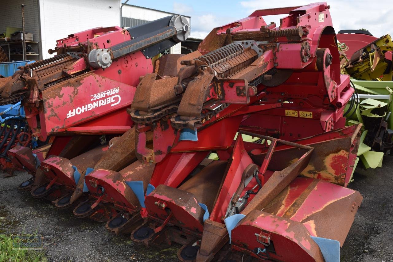 Maispflückvorsatz del tipo Geringhoff Rota Disc *Maispflücker*, Gebrauchtmaschine en Oyten (Imagen 3)