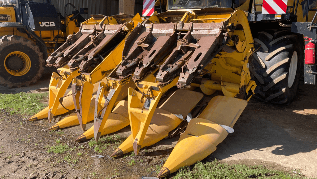 Maispflückvorsatz des Typs New Holland MF 875W, Gebrauchtmaschine in TREMEUR (Bild 2)