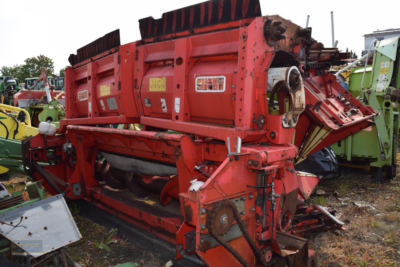 Maispflückvorsatz des Typs Olimac Drago NR8TR, Gebrauchtmaschine in Oyten (Bild 3)