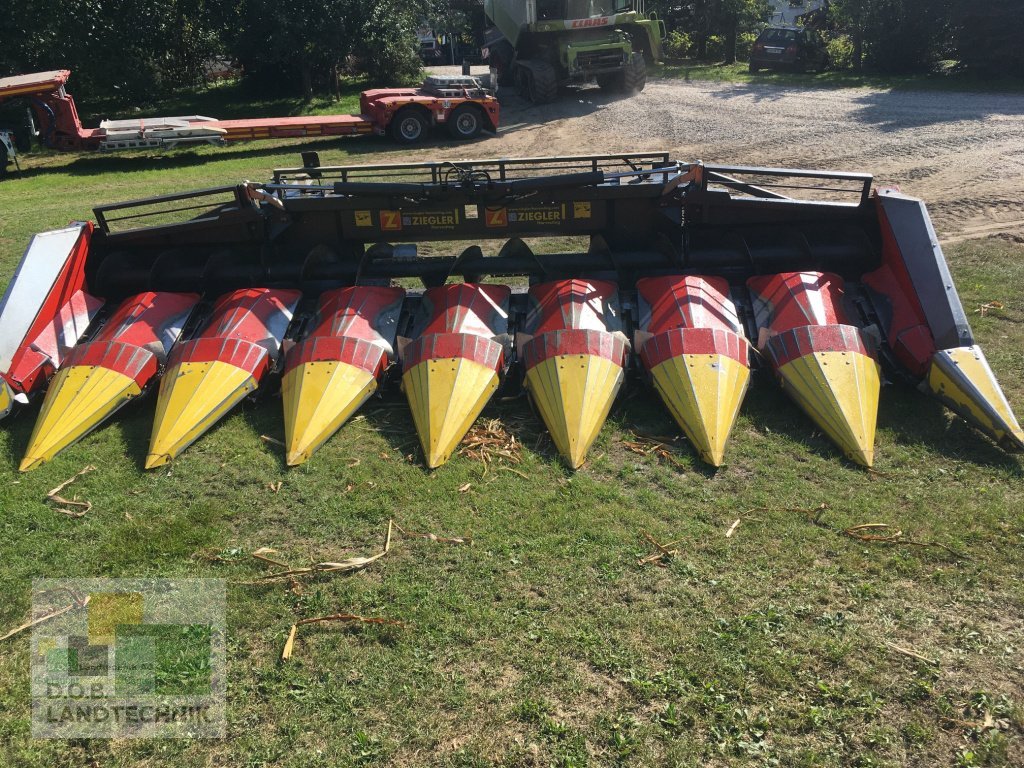 Maispflückvorsatz typu Ziegler Corn Champion, Gebrauchtmaschine v Regensburg (Obrázok 2)