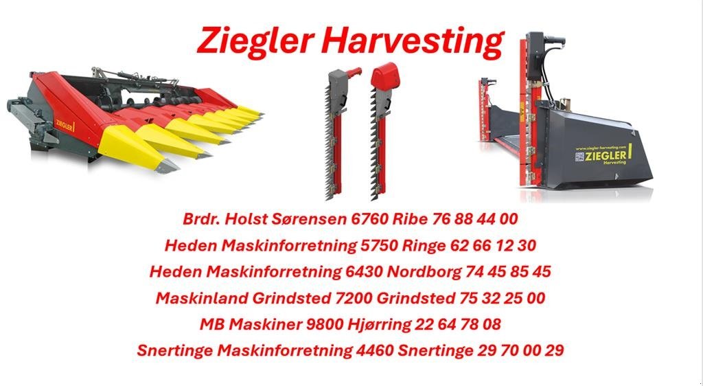 Maispflückvorsatz del tipo Ziegler Corn Champion, Gebrauchtmaschine en Vissenbjerg (Imagen 6)