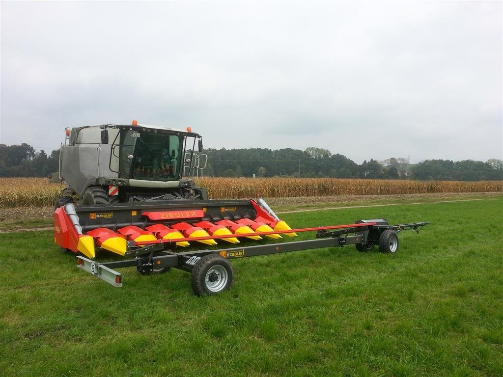 Maispflückvorsatz du type Ziegler Corn Champion, Gebrauchtmaschine en Vissenbjerg (Photo 3)