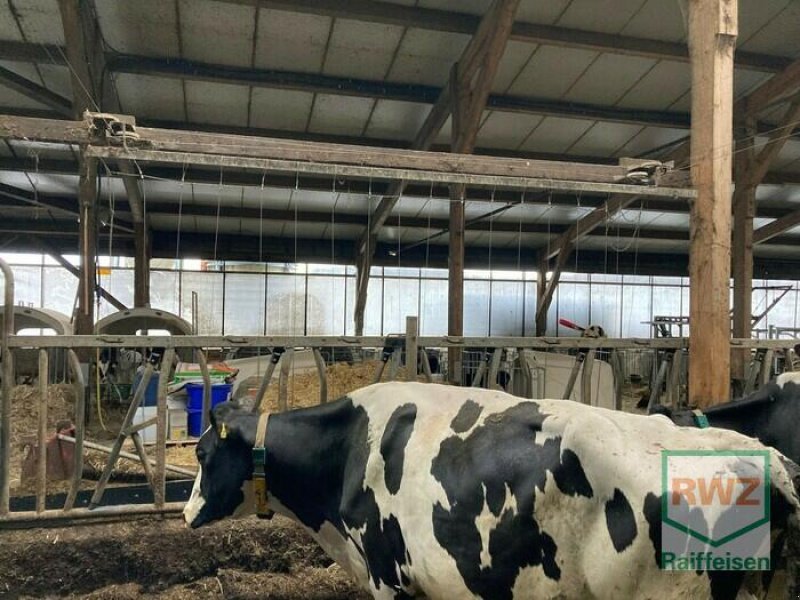 Melkanlage a típus GEA Farm Technologies Melkanlage Zubehör, Gebrauchtmaschine ekkor: Wipperfürth (Kép 4)