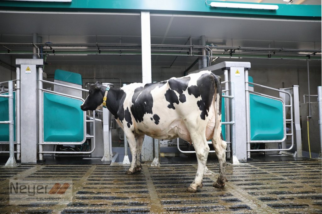 Melkroboter del tipo GEA Farm Technologies DairyRobot R9500, Neumaschine en Bad Waldsee Mennisweiler (Imagen 3)