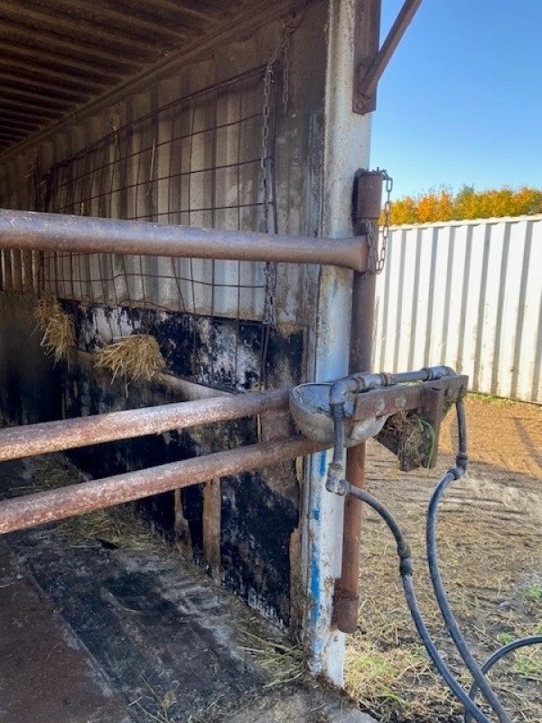 Melkstand des Typs Sonstige 40 & 20 fods Kalvecontainere, Gebrauchtmaschine in Ringe (Bild 6)