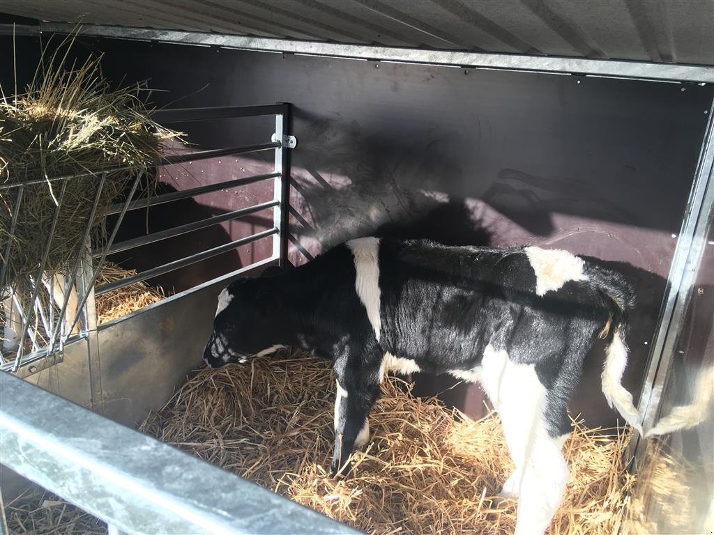 Melkstand del tipo Sonstige Spøttrup Ekspressen, Gebrauchtmaschine en Skive (Imagen 3)