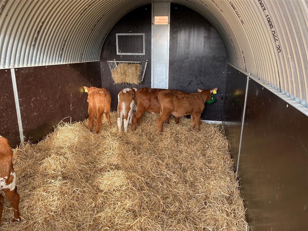 Melkstand van het type Sonstige XL-Høj, Gebrauchtmaschine in Skive (Foto 8)