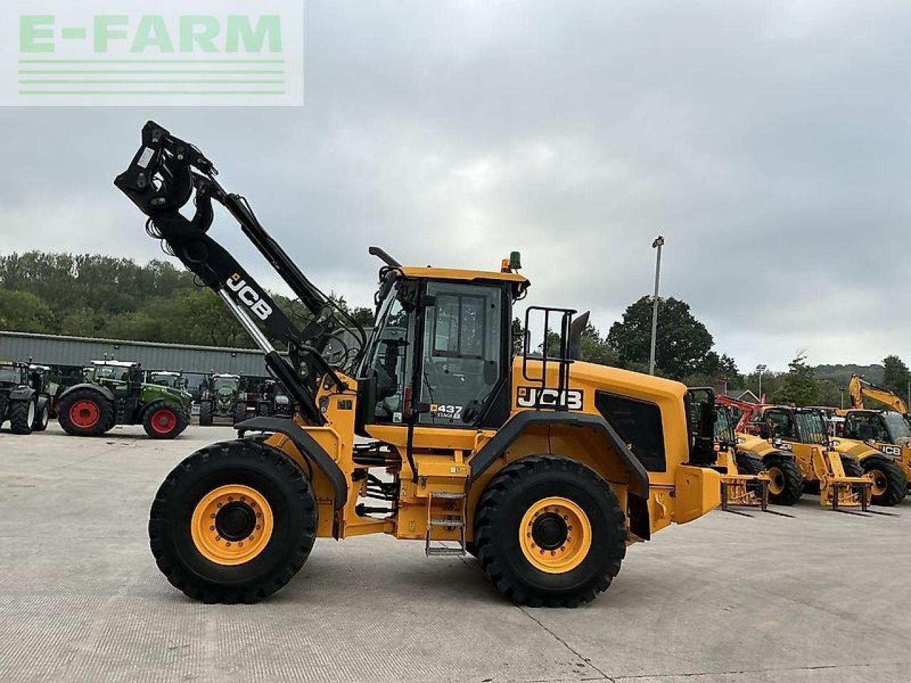 Minibagger of the type JCB 437 wheeled loading shovel (st21059), Gebrauchtmaschine in SHAFTESBURY (Picture 17)