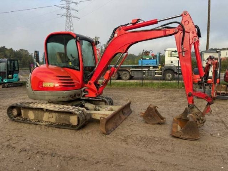 Minibagger des Typs JCB 8050, Gebrauchtmaschine in MOL (Bild 2)