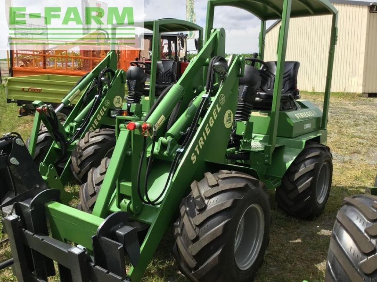 Minibagger del tipo Striegel 305, Gebrauchtmaschine In ZWÖNITZ OT HORMERSDORF (Immagine 7)