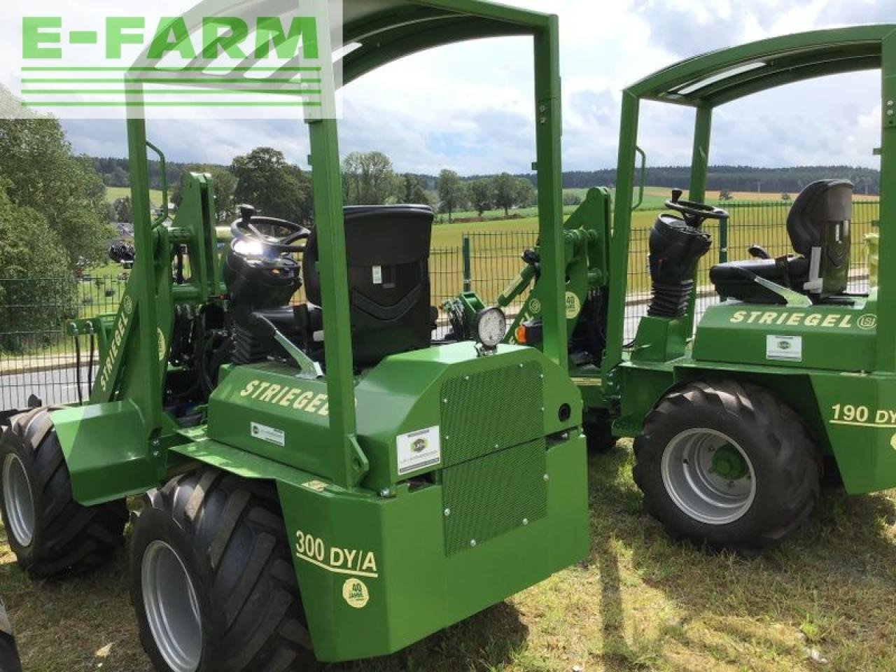 Minibagger tip Striegel 305, Gebrauchtmaschine in ZWÖNITZ OT HORMERSDORF (Poză 9)