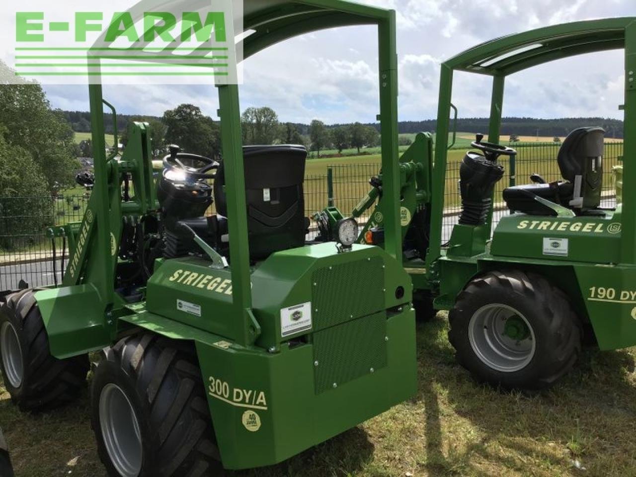 Minibagger tipa Striegel 305, Gebrauchtmaschine u ZWÖNITZ OT HORMERSDORF (Slika 10)