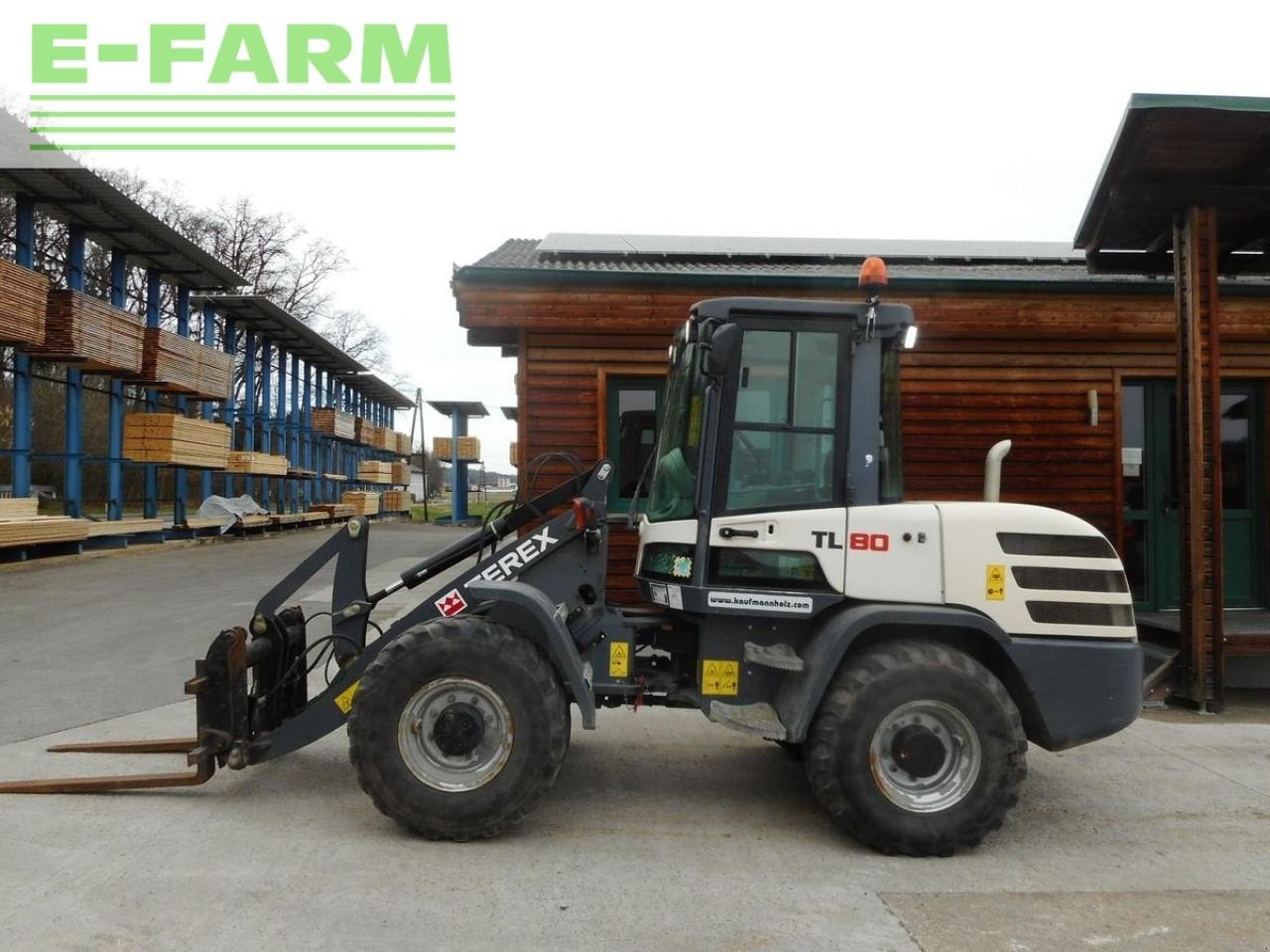 Minibagger van het type Terex tl 80 ( 5.000kg ), Gebrauchtmaschine in ST. NIKOLAI/DR. (Foto 1)