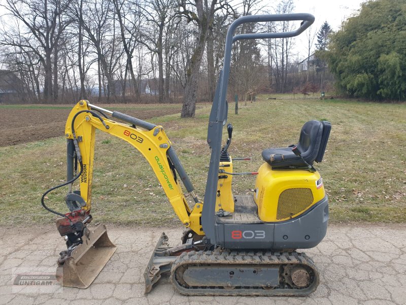 Minibagger typu Wacker Neuson 803, Gebrauchtmaschine v Deutsch - Goritz (Obrázek 1)