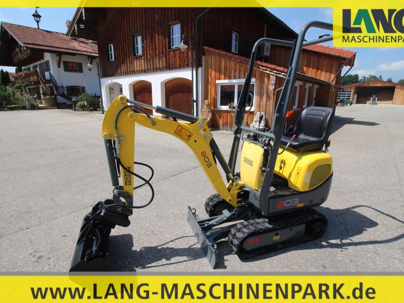 Minibagger типа Wacker Neuson 803, Gebrauchtmaschine в Petting (Фотография 1)