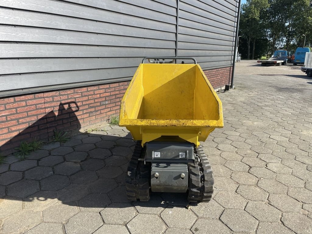 Minidumper του τύπου Sonstige Neuson DT05 rupsdumper 66 cm BJ 2023, Gebrauchtmaschine σε Neer (Φωτογραφία 7)