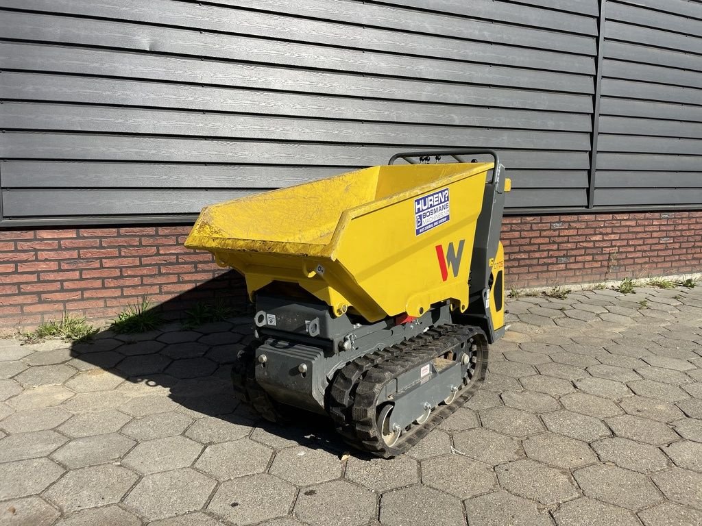 Minidumper del tipo Sonstige Neuson DT05 rupsdumper 66 cm BJ 2023, Gebrauchtmaschine en Neer (Imagen 5)