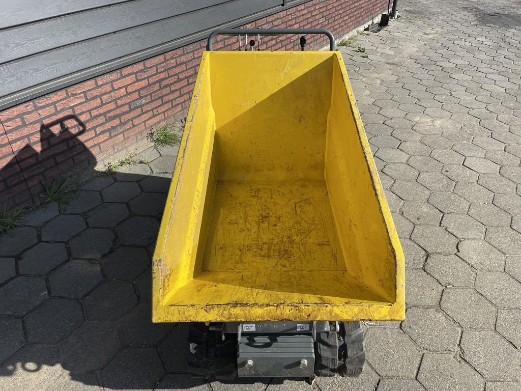 Minidumper του τύπου Sonstige Neuson DT05 rupsdumper 66 cm BJ 2023, Gebrauchtmaschine σε Neer (Φωτογραφία 8)