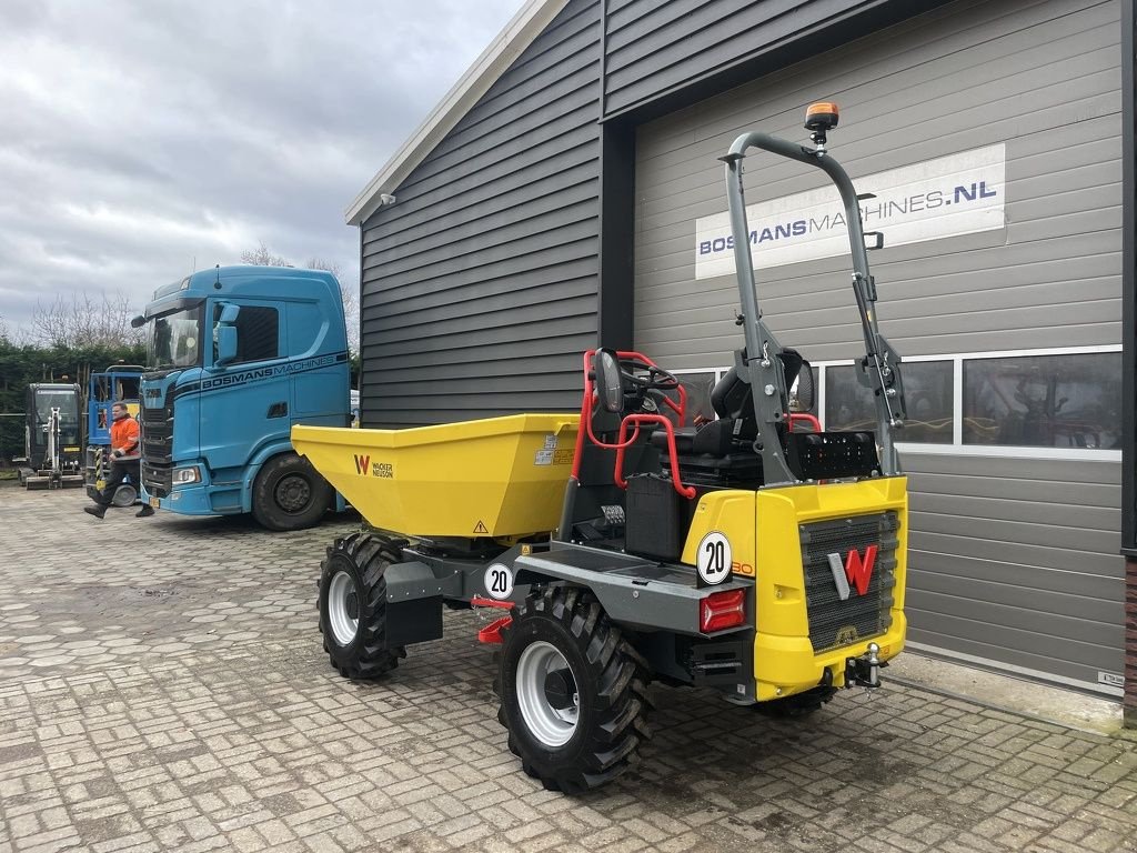 Minidumper van het type Sonstige Neuson DW30 wieldumper NIEUW, Neumaschine in Neer (Foto 10)